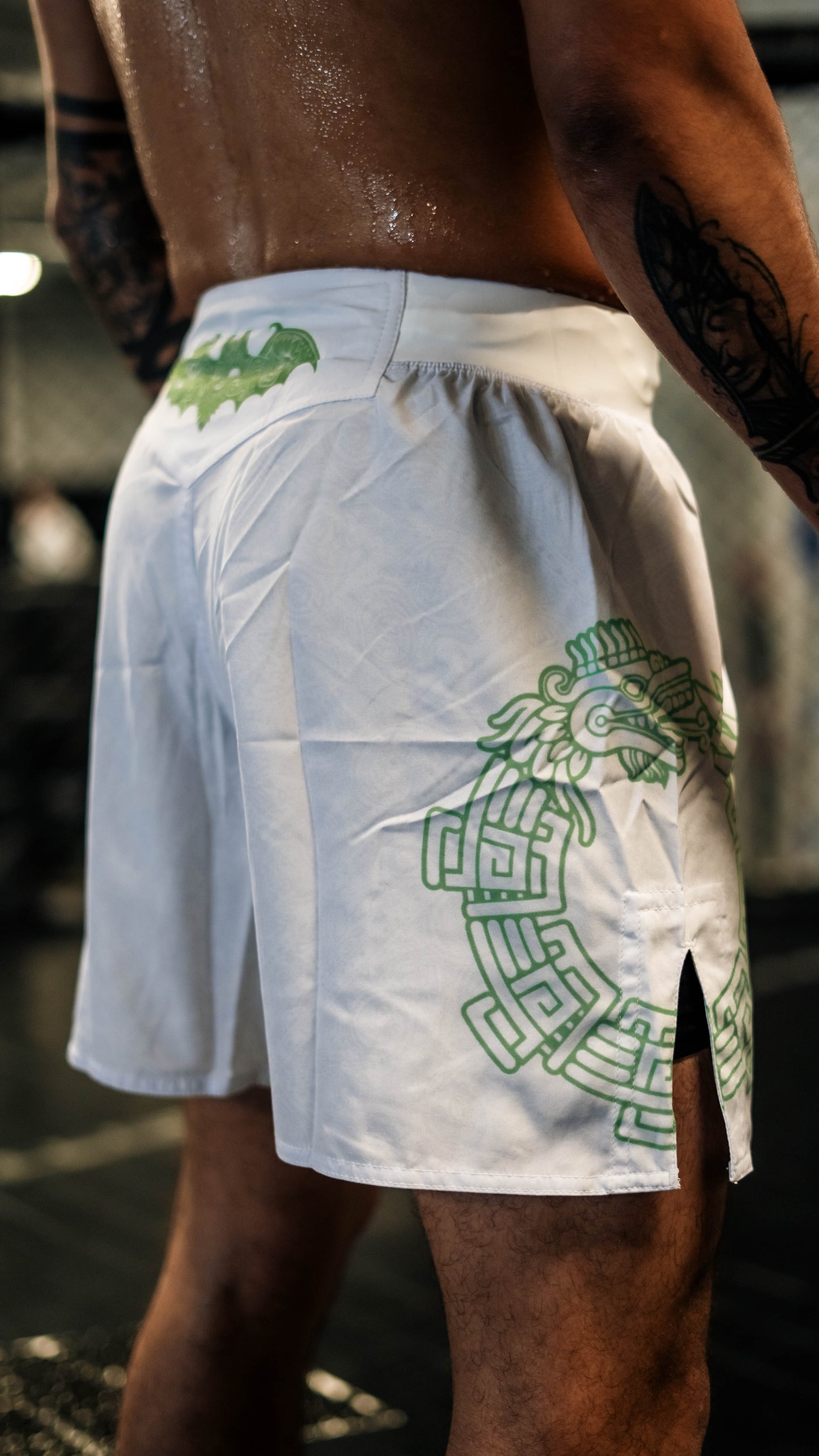 White Quetzalcoatl [MMA Shorts]