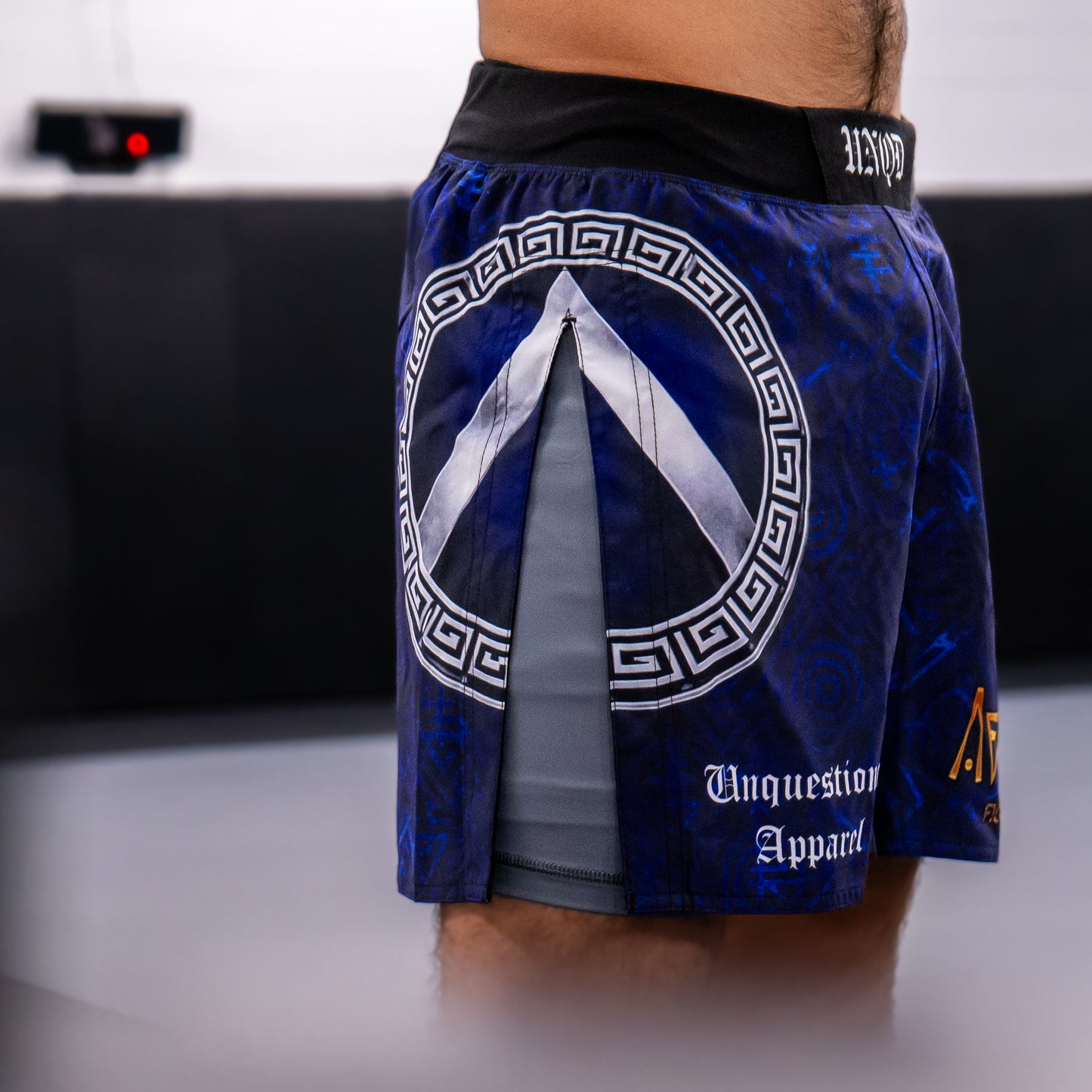 BLUE AGOGE MMA SHORTS